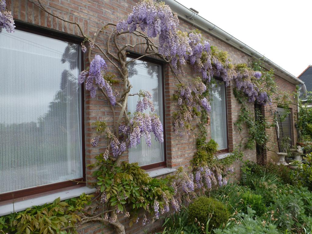 Guesthouse Kolibriehuys Nieuwkerke 외부 사진