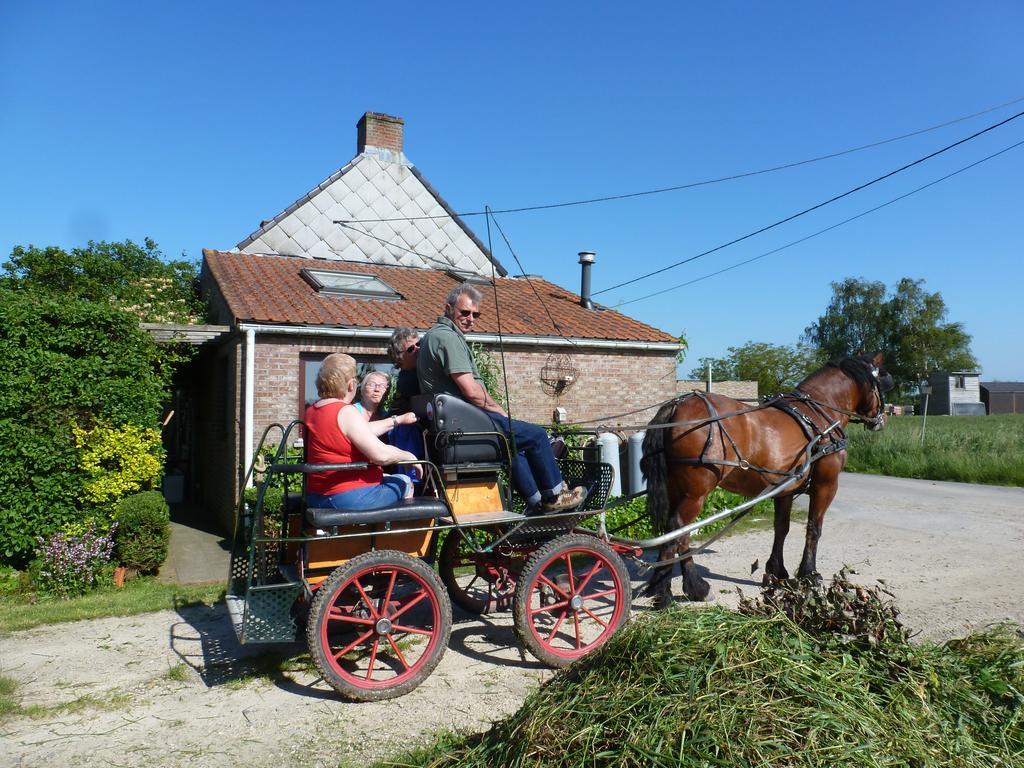 Guesthouse Kolibriehuys Nieuwkerke 외부 사진
