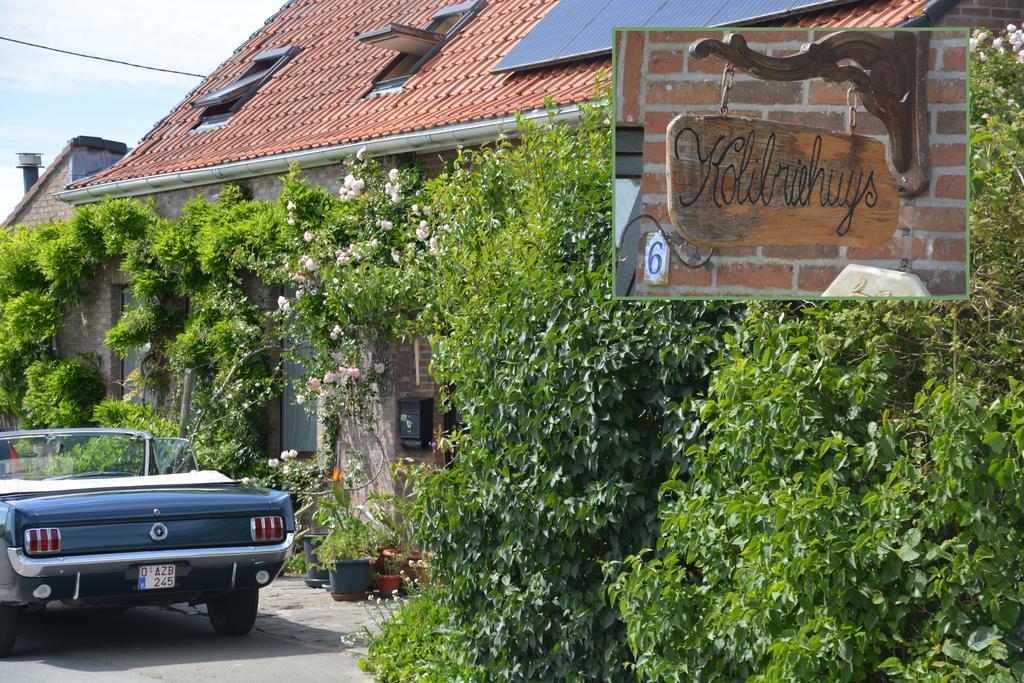 Guesthouse Kolibriehuys Nieuwkerke 외부 사진