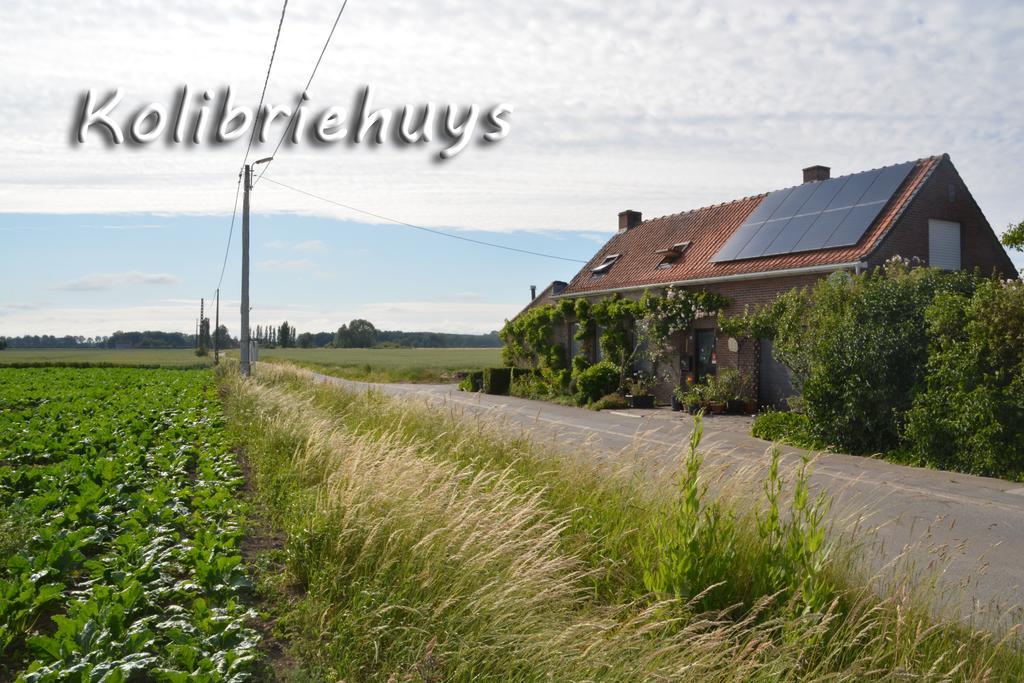 Guesthouse Kolibriehuys Nieuwkerke 외부 사진